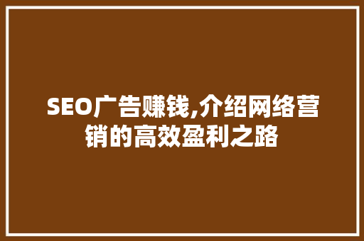 SEO广告赚钱,介绍网络营销的高效盈利之路 SEO广告赚钱,介绍网络营销的高效盈利之路