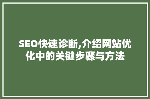 SEO快速诊断,介绍网站优化中的关键步骤与方法 SEO快速诊断,介绍网站优化中的关键步骤与方法