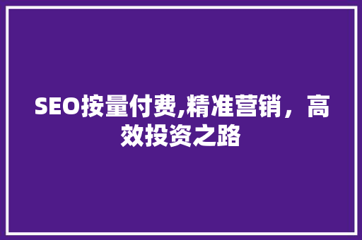 SEO按量付费,精准营销，高效投资之路
