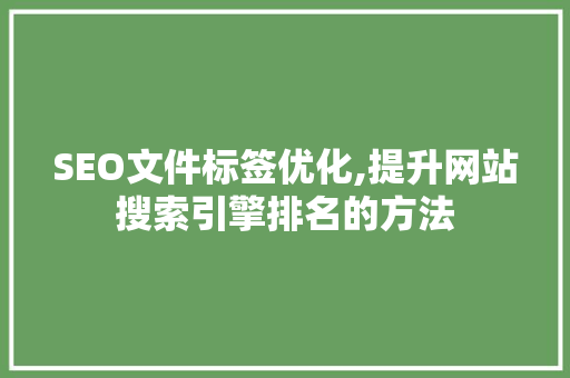 SEO文件标签优化,提升网站搜索引擎排名的方法