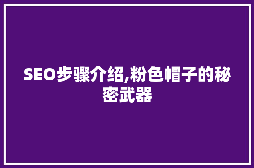 SEO步骤介绍,粉色帽子的秘密武器