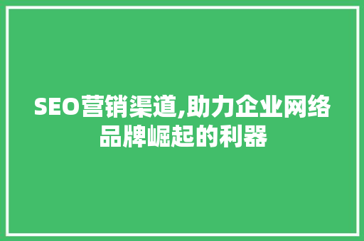 SEO营销渠道,助力企业网络品牌崛起的利器