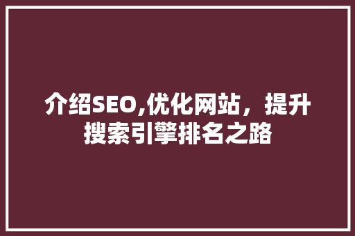 介绍SEO,优化网站，提升搜索引擎排名之路