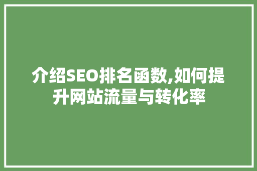 介绍SEO排名函数,如何提升网站流量与转化率