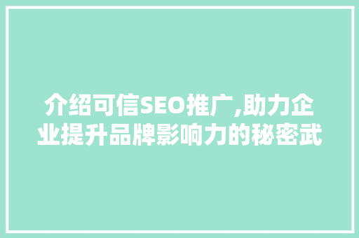 介绍可信SEO推广,助力企业提升品牌影响力的秘密武器 编程语言
