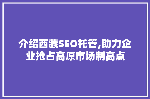 介绍西藏SEO托管,助力企业抢占高原市场制高点