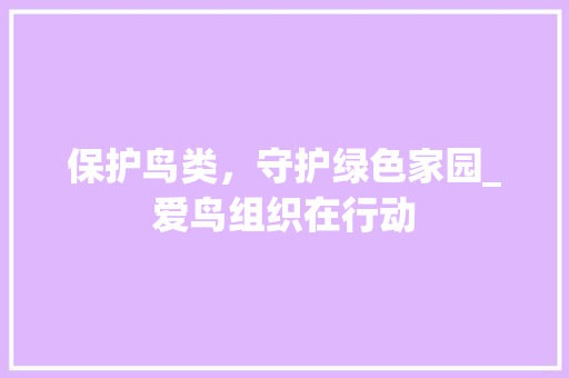 保护鸟类，守护绿色家园_爱鸟组织在行动