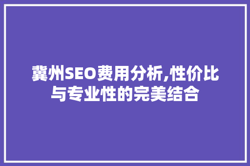 冀州SEO费用分析,性价比与专业性的完美结合 电脑基础