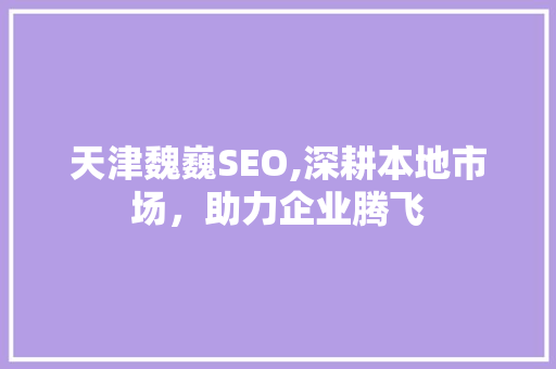 天津魏巍SEO,深耕本地市场，助力企业腾飞