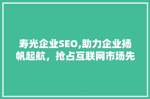 寿光企业SEO,助力企业扬帆起航，抢占互联网市场先机