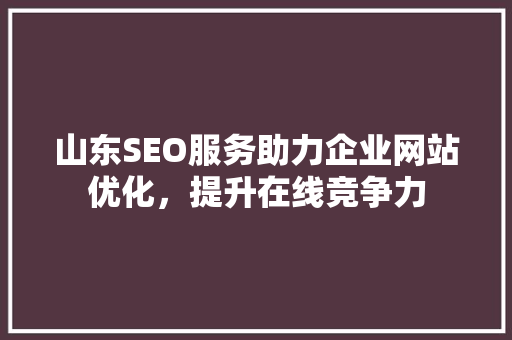 山东SEO服务助力企业网站优化，提升在线竞争力