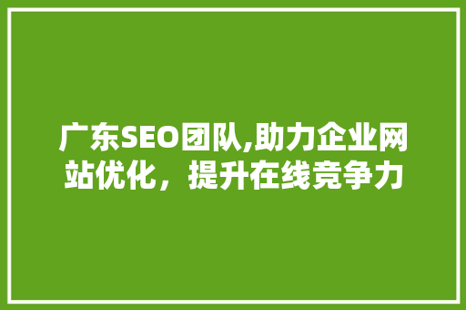 广东SEO团队,助力企业网站优化,提升在线竞争力 广东SEO团队,助力企业网站优化,提升在线竞争力