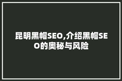 昆明黑帽SEO,介绍黑帽SEO的奥秘与风险