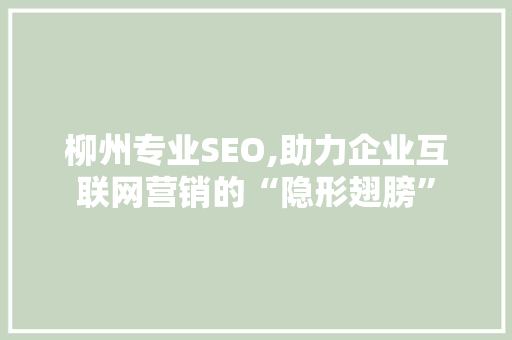 柳州专业SEO,助力企业互联网营销的“隐形翅膀”