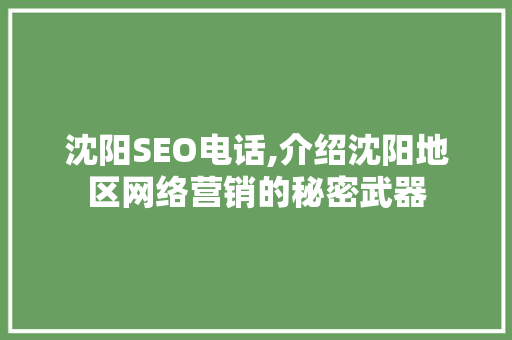 沈阳SEO电话,介绍沈阳地区网络营销的秘密武器