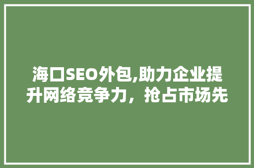海口SEO外包,助力企业提升网络竞争力，抢占市场先机