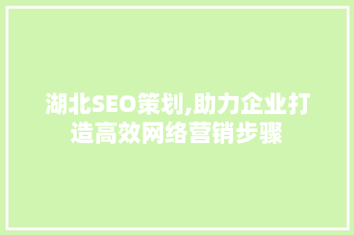 湖北SEO策划,助力企业打造高效网络营销步骤