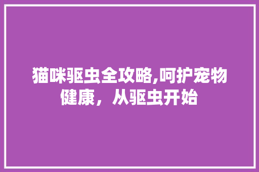 猫咪驱虫全攻略,呵护宠物健康，从驱虫开始 电脑故障维修