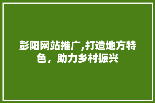 彭阳网站推广,打造地方特色，助力乡村振兴