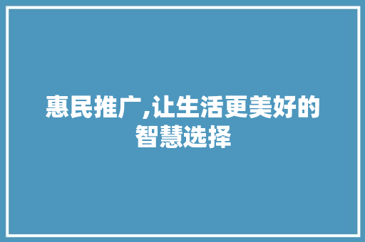 惠民推广,让生活更美好的智慧选择