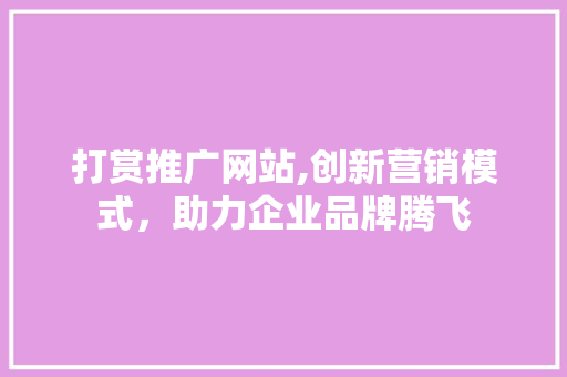 打赏推广网站,创新营销模式，助力企业品牌腾飞