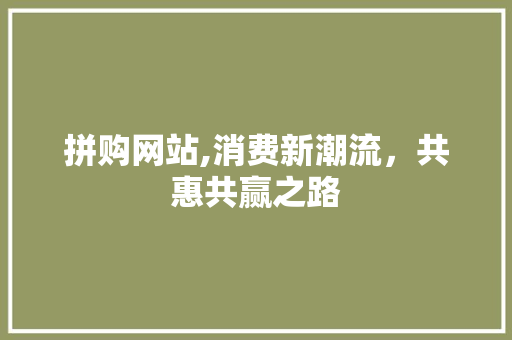 拼购网站,消费新潮流，共惠共赢之路