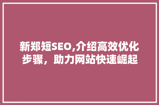 新郑短SEO,介绍高效优化步骤，助力网站快速崛起