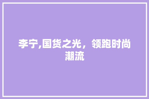 李宁,国货之光，领跑时尚潮流 电脑配置