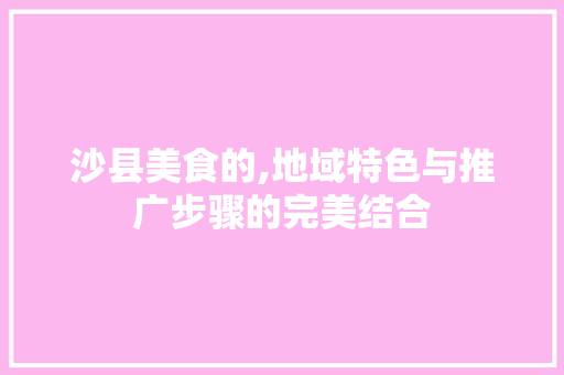 沙县美食的,地域特色与推广步骤的完美结合