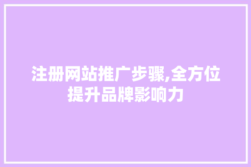 注册网站推广步骤,全方位提升品牌影响力
