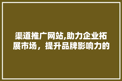 渠道推广网站,助力企业拓展市场，提升品牌影响力的利器