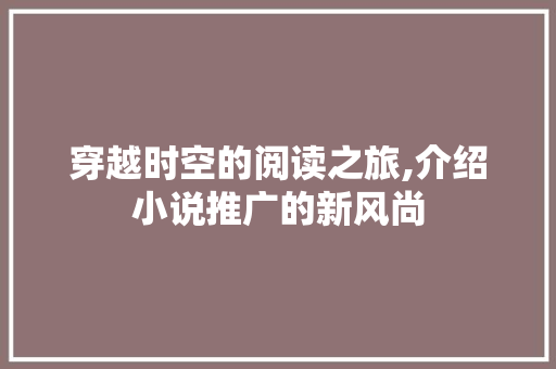 穿越时空的阅读之旅,介绍小说推广的新风尚