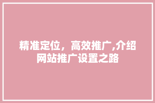 精准定位，高效推广,介绍网站推广设置之路 电脑基础