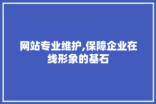 网站专业维护,保障企业在线形象的基石