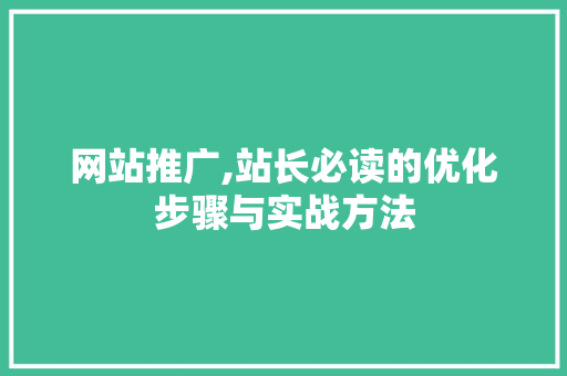 网站推广,站长必读的优化步骤与实战方法