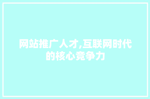 网站推广人才,互联网时代的核心竞争力