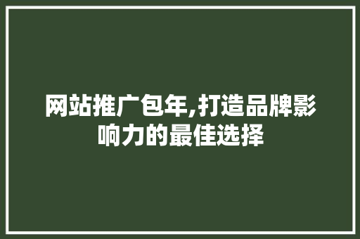 网站推广包年,打造品牌影响力的最佳选择