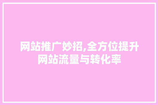 网站推广妙招,全方位提升网站流量与转化率