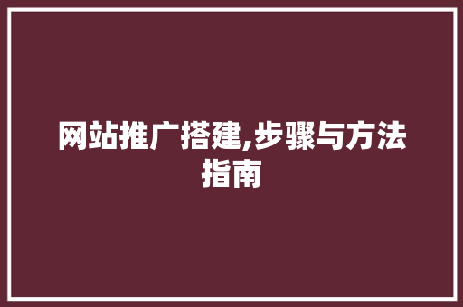 网站推广搭建,步骤与方法指南