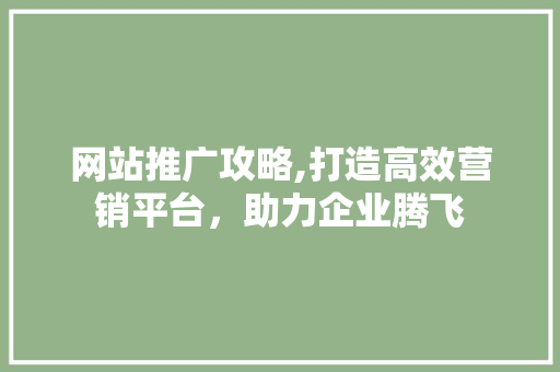 网站推广攻略,打造高效营销平台,助力企业腾飞 网站推广攻略,打造高效营销平台,助力企业腾飞