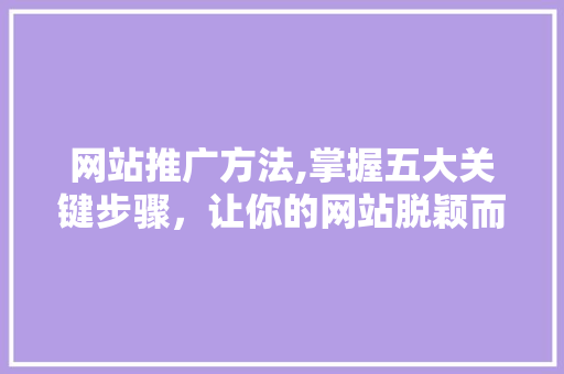 网站推广方法,掌握五大关键步骤,让你的网站脱颖而出 网站推广方法,掌握五大关键步骤,让你的网站脱颖而出