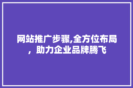 网站推广步骤,全方位布局,助力企业品牌腾飞 网站推广步骤,全方位布局,助力企业品牌腾飞