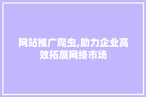 网站推广爬虫,助力企业高效拓展网络市场