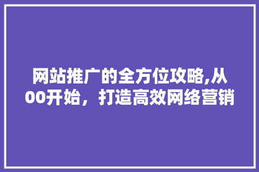 网站推广的全方位攻略,从00开始，打造高效网络营销步骤