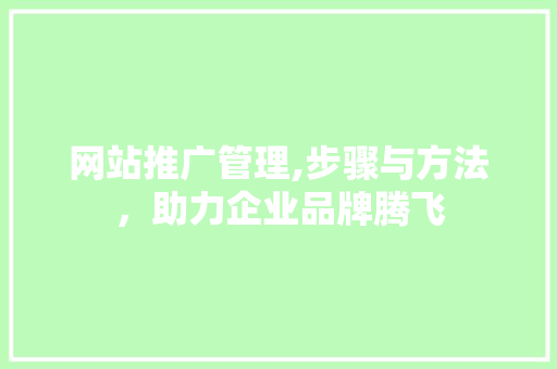 网站推广管理,步骤与方法，助力企业品牌腾飞