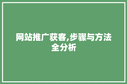 网站推广获客,步骤与方法全分析