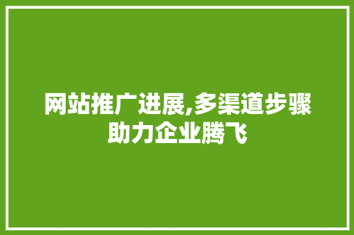 网站推广进展,多渠道步骤助力企业腾飞