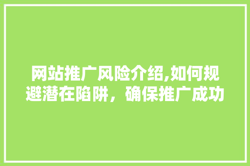 网站推广风险介绍,如何规避潜在陷阱，确保推广成功