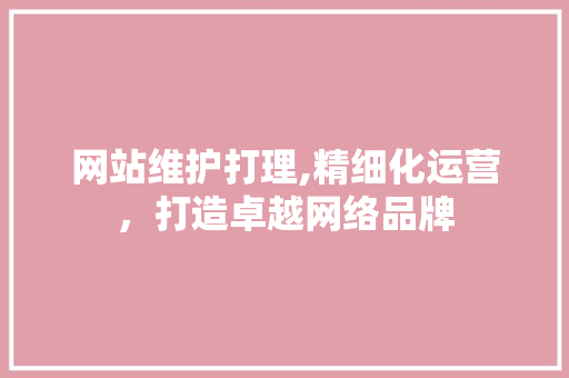 网站维护打理,精细化运营，打造卓越网络品牌