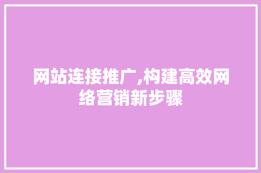 网站连接推广,构建高效网络营销新步骤